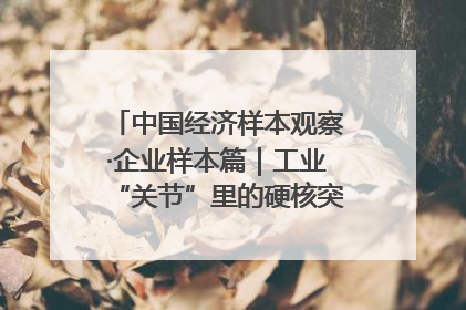 中国经济样本观察·企业样本篇｜工业“关节”里的硬核突围——老企业洛轴创新蝶变启示录